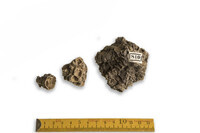 F 00810
<br/>
<br/>
<em></em>